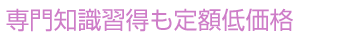 専門知識習得も定額低価格